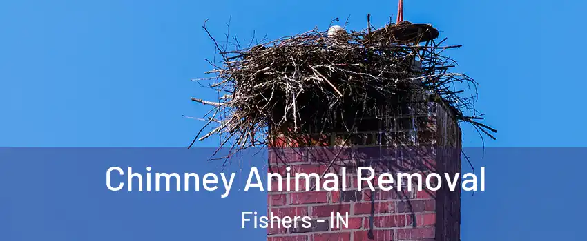 Chimney Animal Removal Fishers - IN