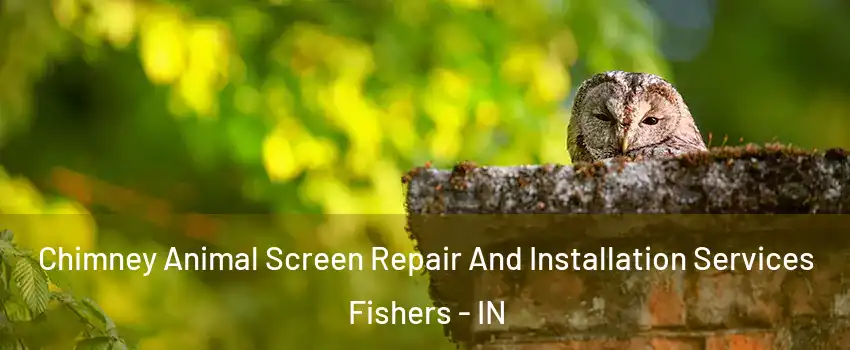  Chimney Animal Screen Repair And Installation Services Fishers - IN