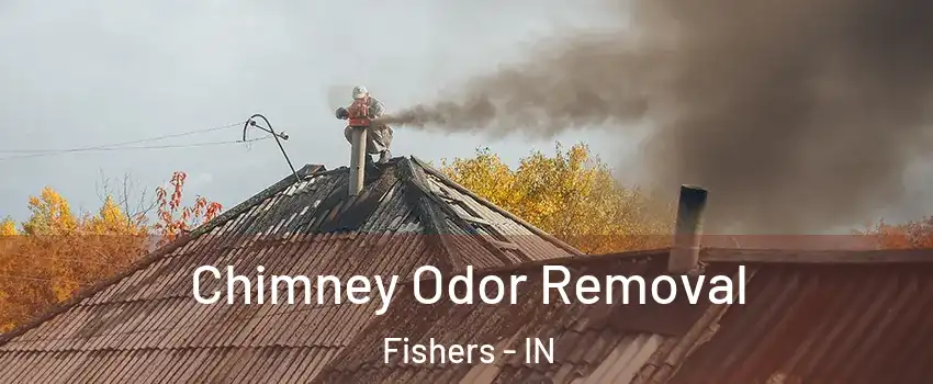  Chimney Odor Removal Fishers - IN