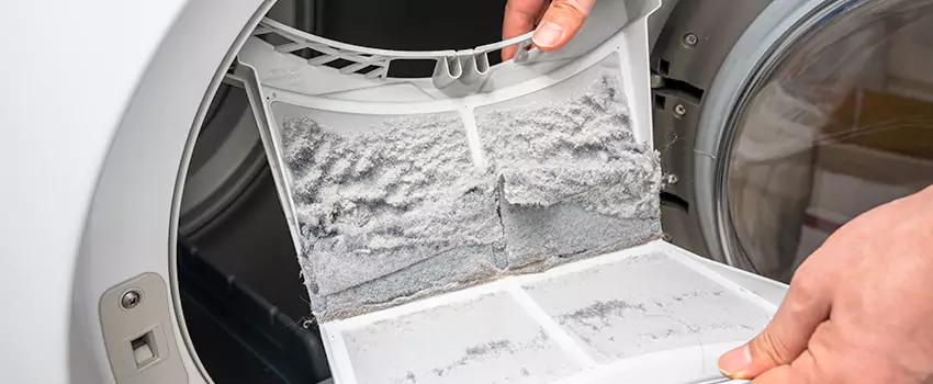 Best Dryer Lint Removal Company in Fishers, Indiana