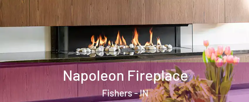  Napoleon Fireplace Fishers - IN